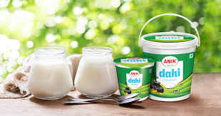 StyleNest - Amul Dahi Cup